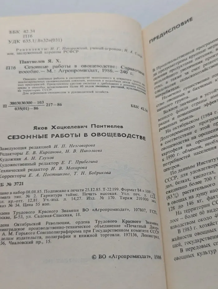 Сезонные работы в овощеводстве
