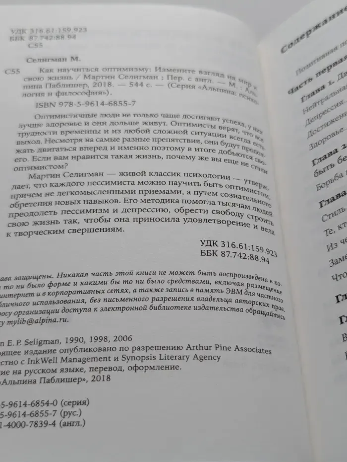 Как научиться оптимизму. Измените взгляд на мир и свою жизнь