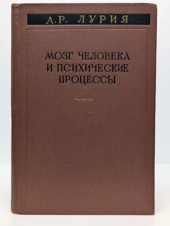 Мозг человека и психические процессы. Том 1
