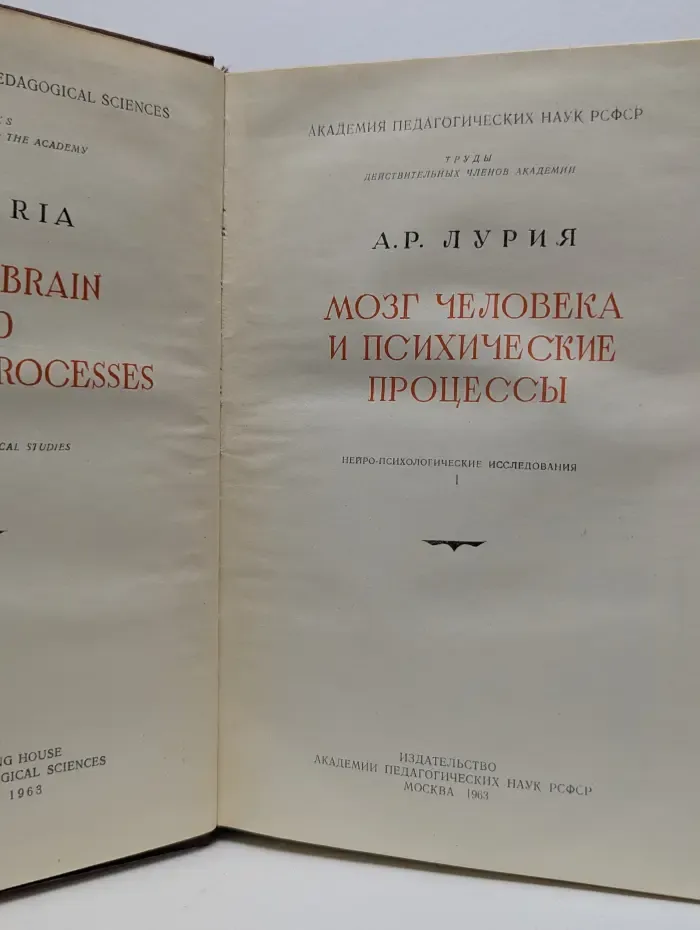 Мозг человека и психические процессы. Том 1