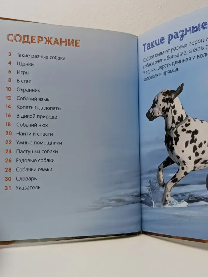 Энциклопедия для малышей. Собаки