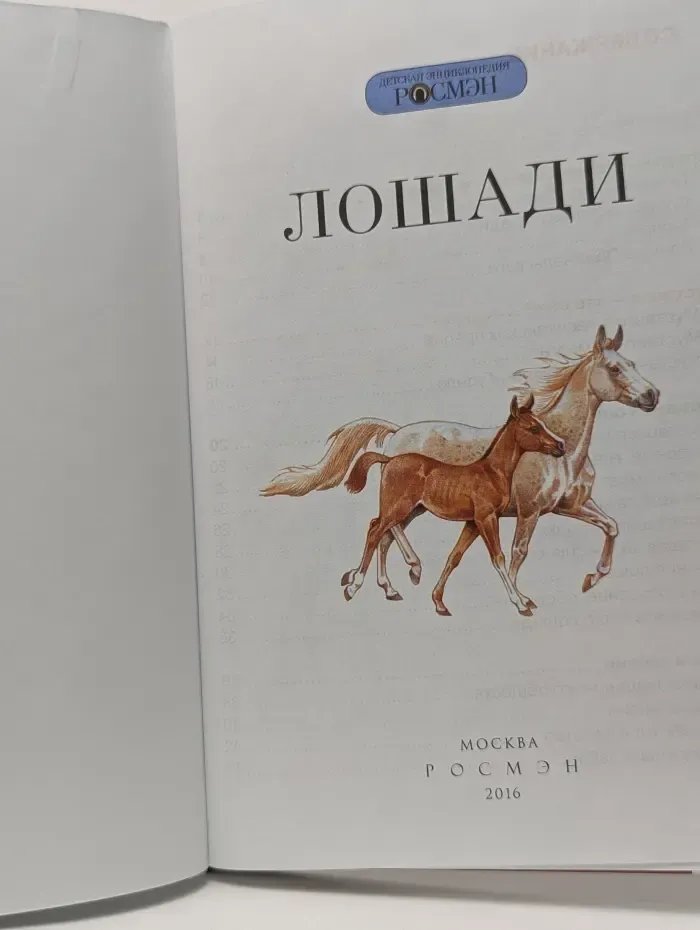 Лошади