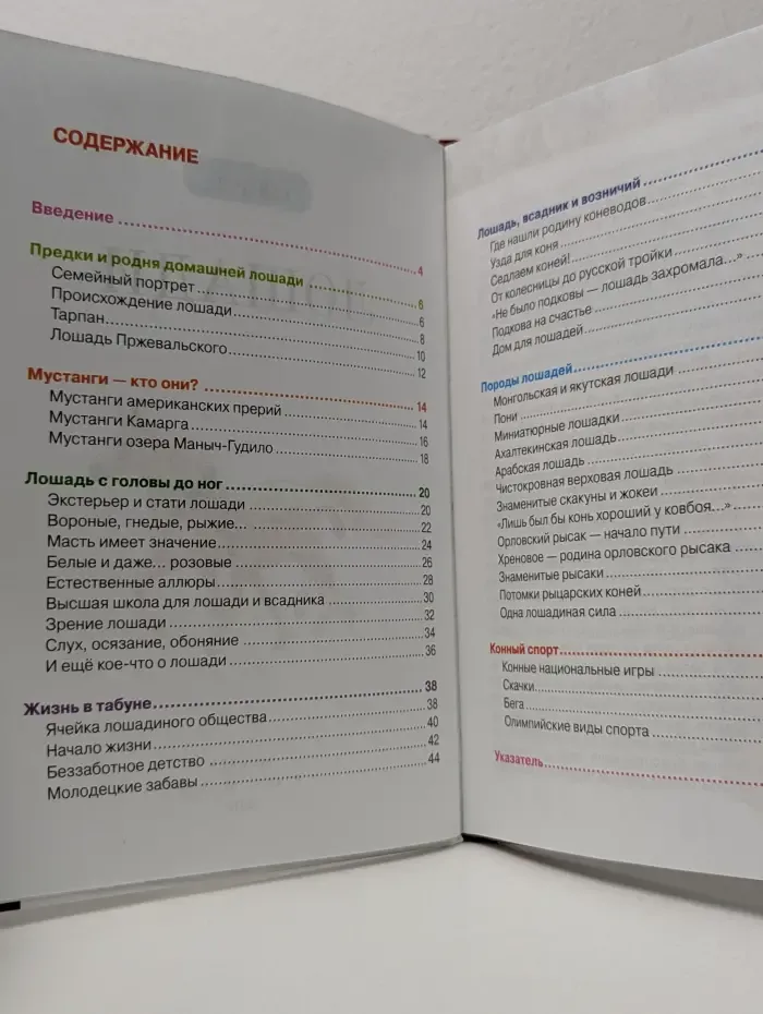 Лошади