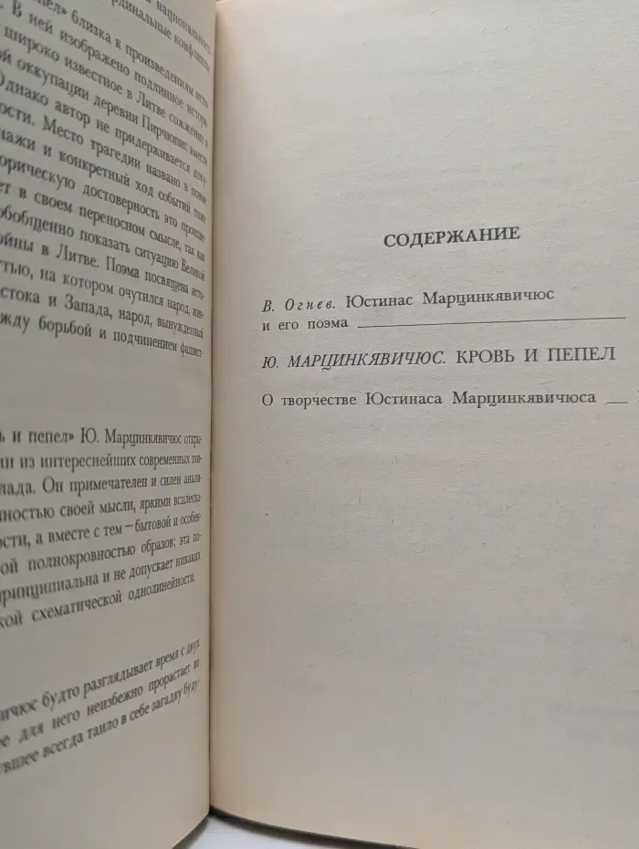 Школьная библиотека. Кровь и пепел