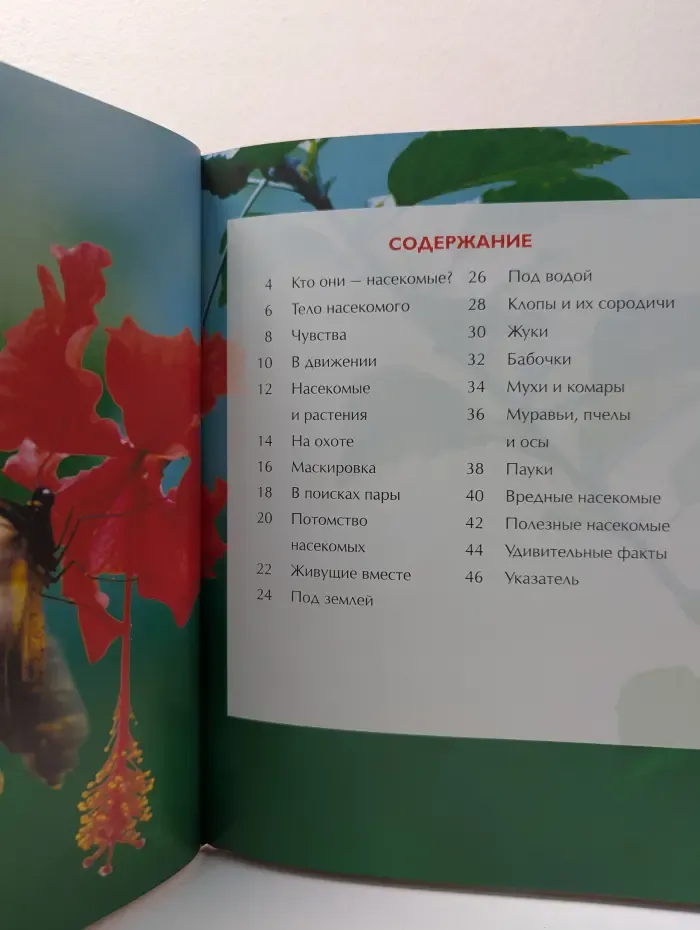 Большая энциклопедия знаний. Насекомые