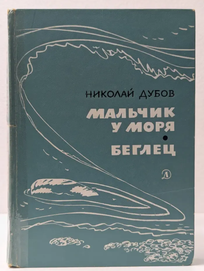 Школьная библиотека. Мальчик у моря. Беглец