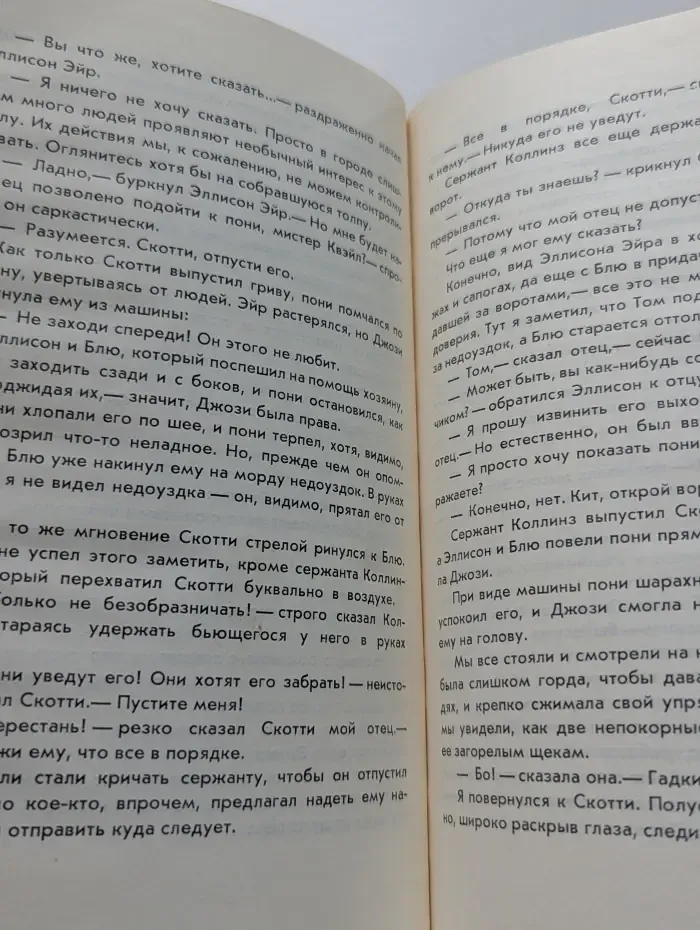 Спортивное предложение