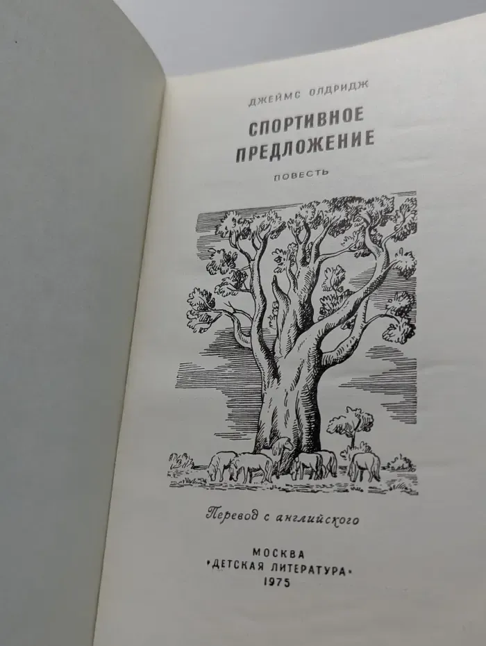 Спортивное предложение