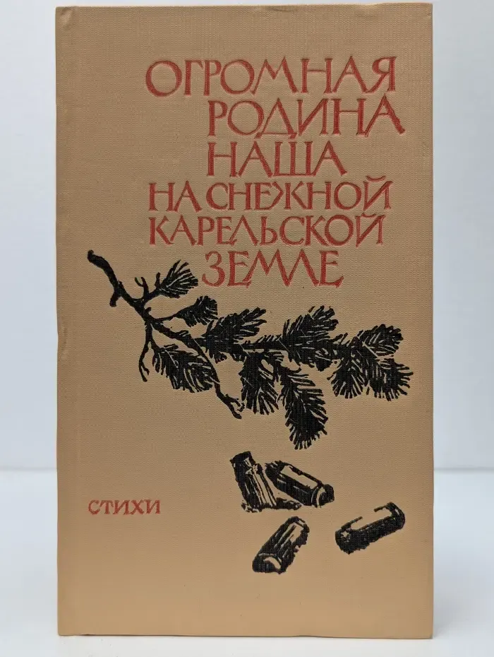 Огромная Родина наша на снежной карельской земле