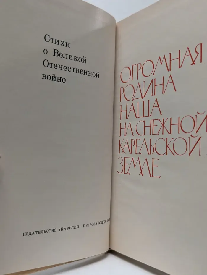 Огромная Родина наша на снежной карельской земле