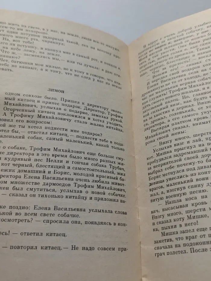 Лисичкин хлеб