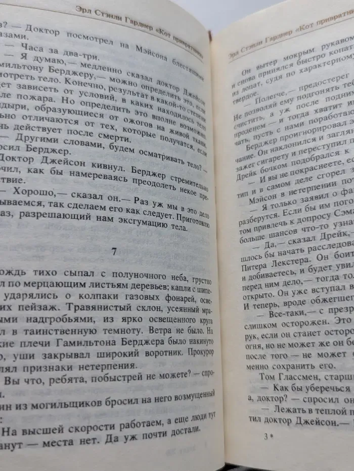 Кот привратника
