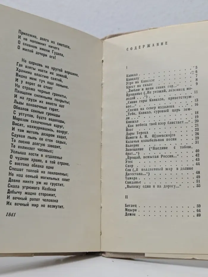 М. Ю. Лермонтов. Стихотворения и поэмы. В 2 томах. Том 1