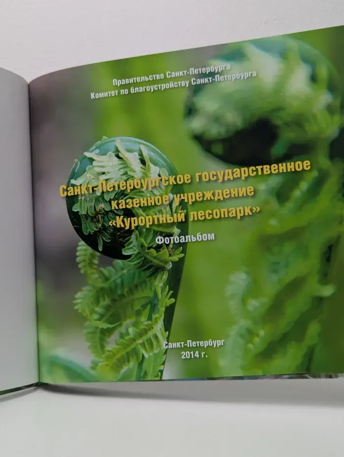 Курортный лесопарк