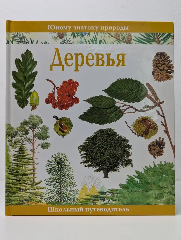 Юному знатоку природы. Деревья