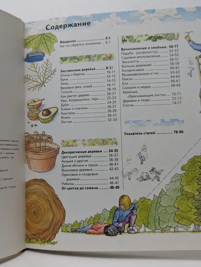 Юному знатоку природы. Деревья
