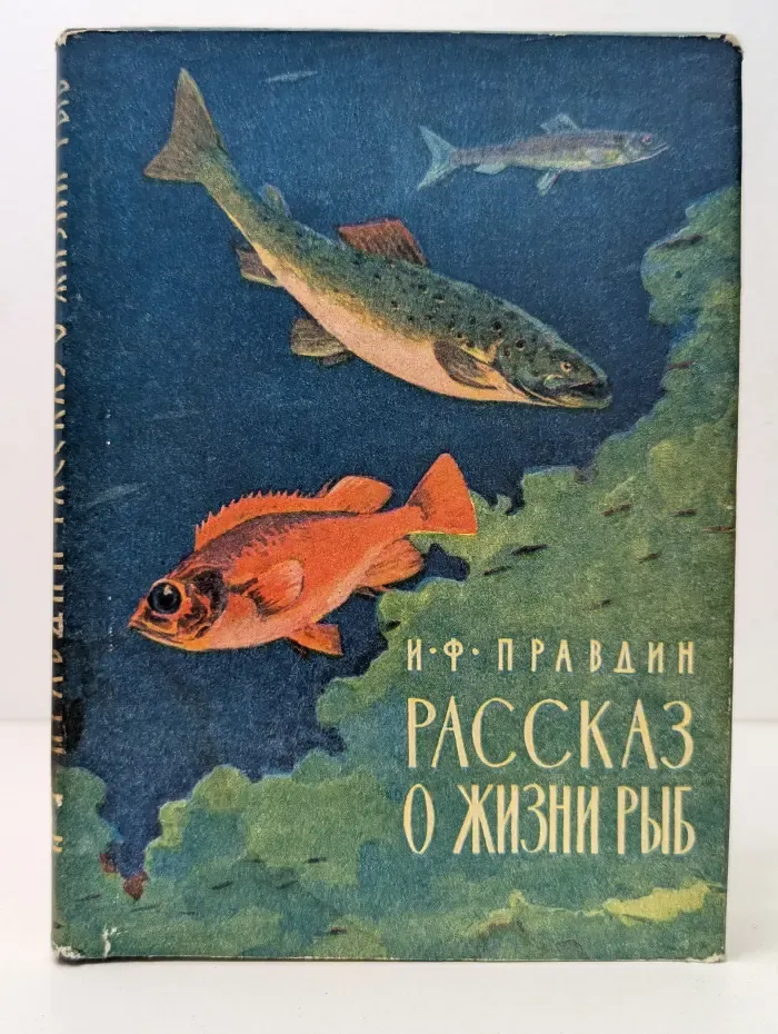 Рассказ о жизни рыб