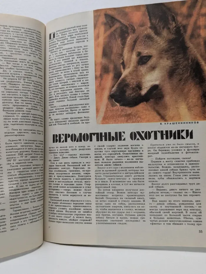Вокруг света. Выпуск № 4/1981