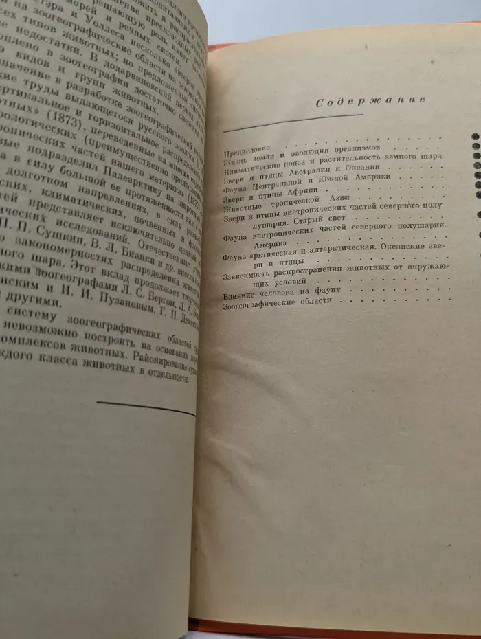 Звери и птицы земного шара