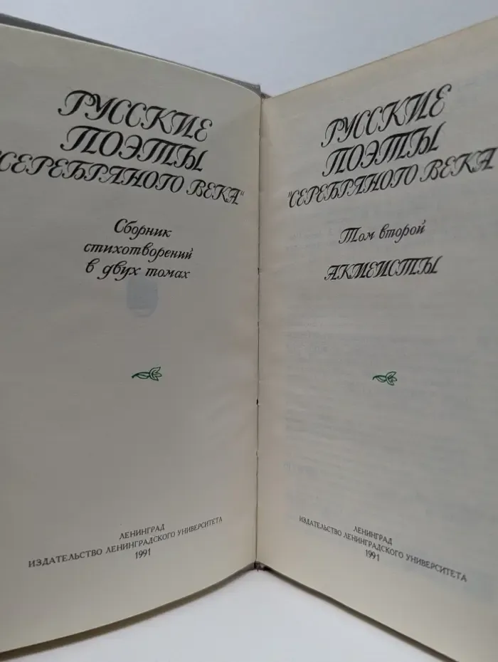 Русские поэты "Серебряного века". В 2 томах. Том 2