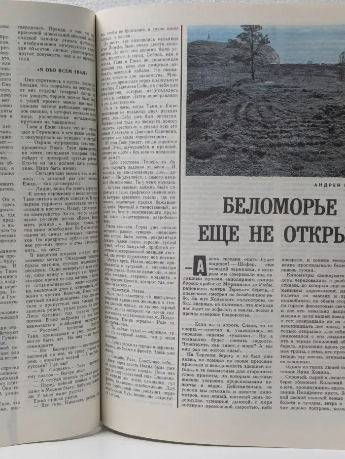 Вокруг света. Выпуск № 11/1984