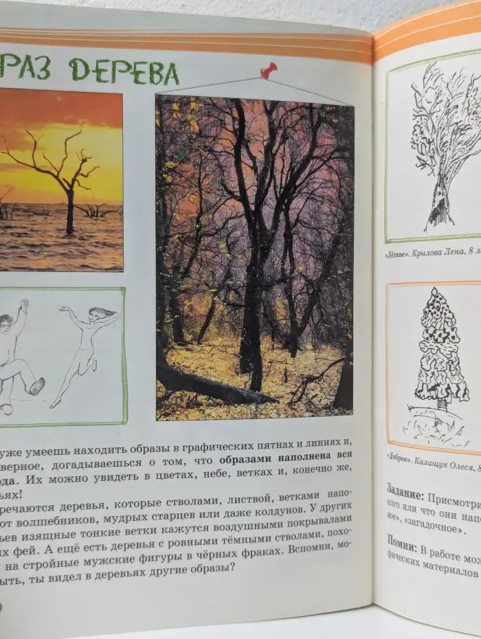 Школа творчества. Графика. Первые шаги