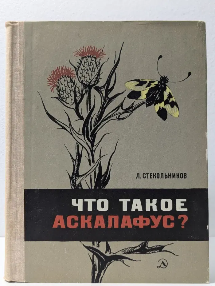 Что такое аскалафус?