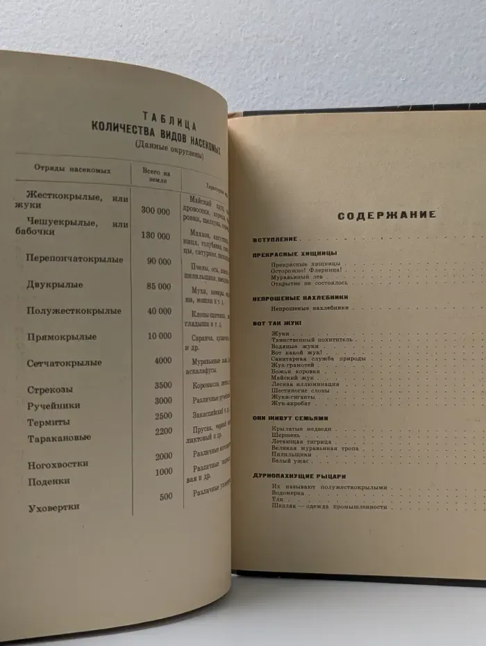Что такое аскалафус?