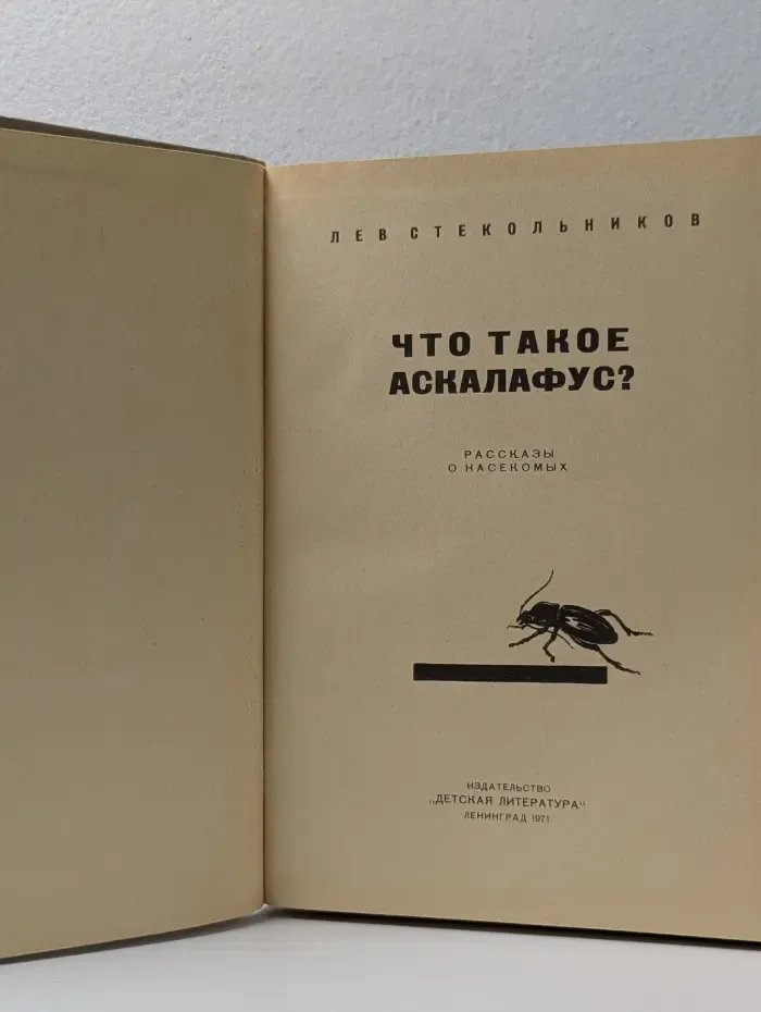 Что такое аскалафус?