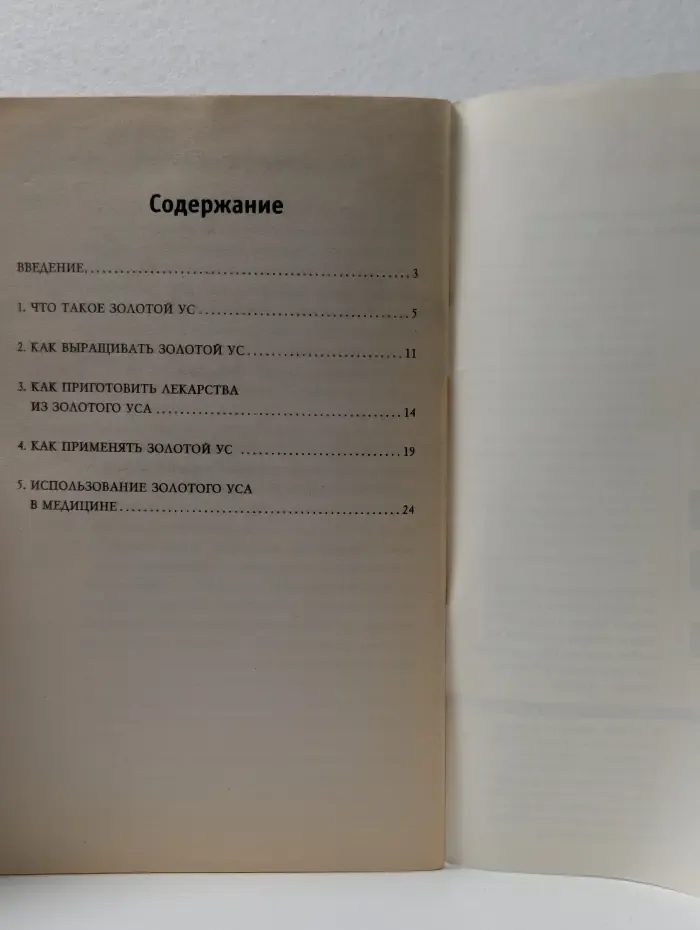 Здоровый образ жизни и долголетие. Золотой ус от А до Я. Лучшие советы и рецепты