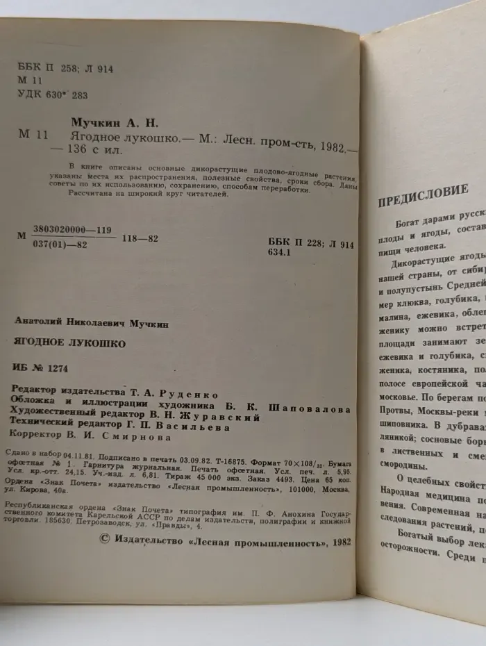 Ягодное лукошко