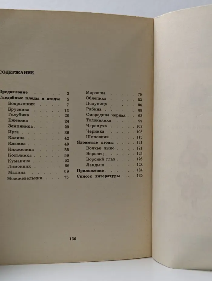 Ягодное лукошко