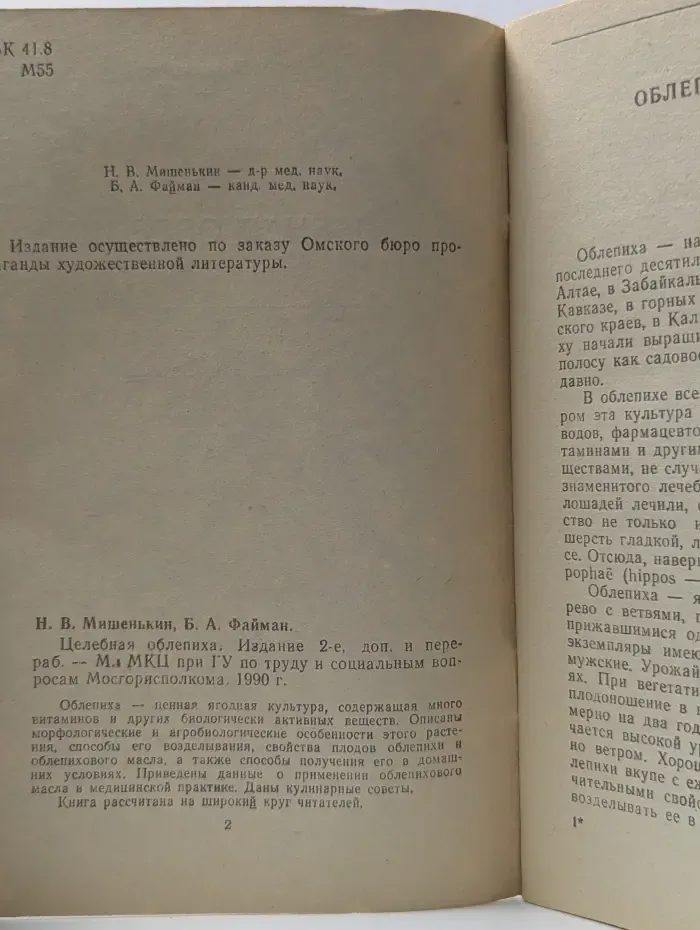 Целебная облепиха