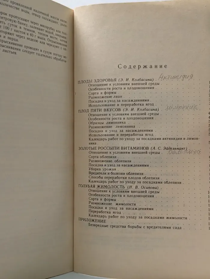 "Лесные незнакомцы" в нашем саду