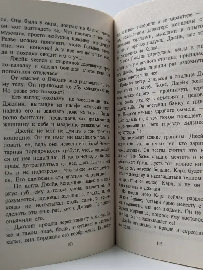 Любовный роман. Сметая все барьеры