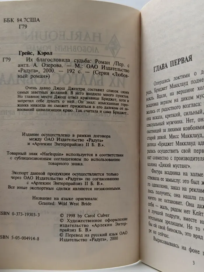 Любовный роман. Их благословила судьба