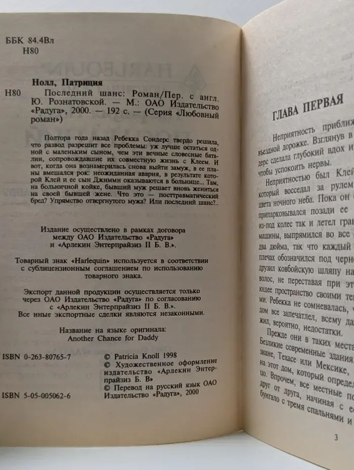 Любовный роман. Последний шанс