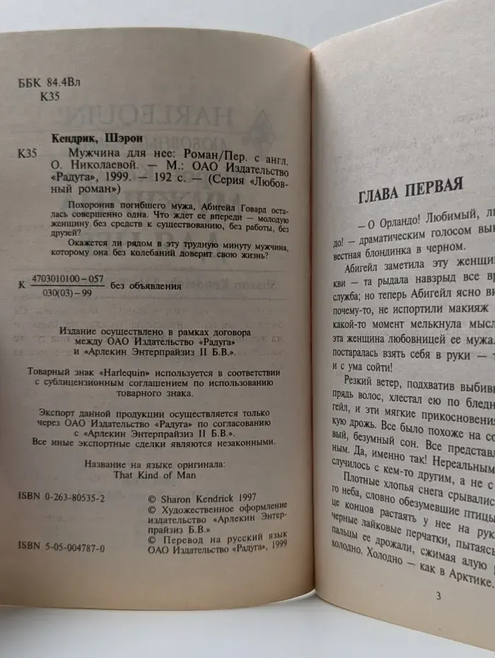 Любовный роман. Мужчина для нее