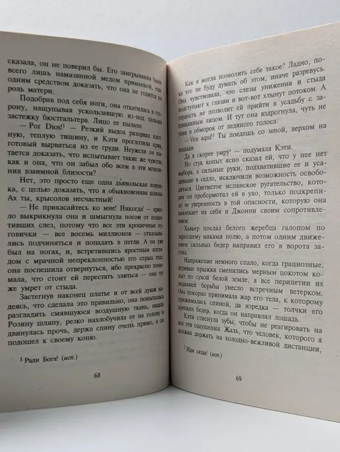 Любовный роман. Самозванка