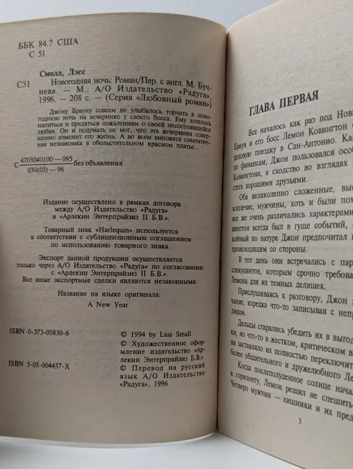 Любовный роман. Новогодняя ночь