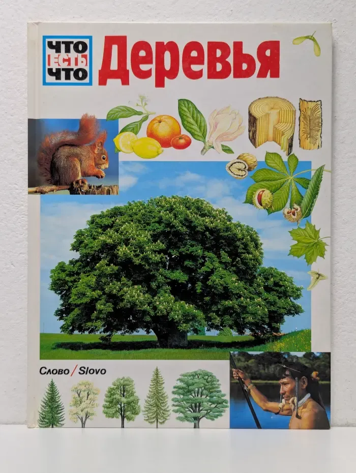 Что есть что. Деревья