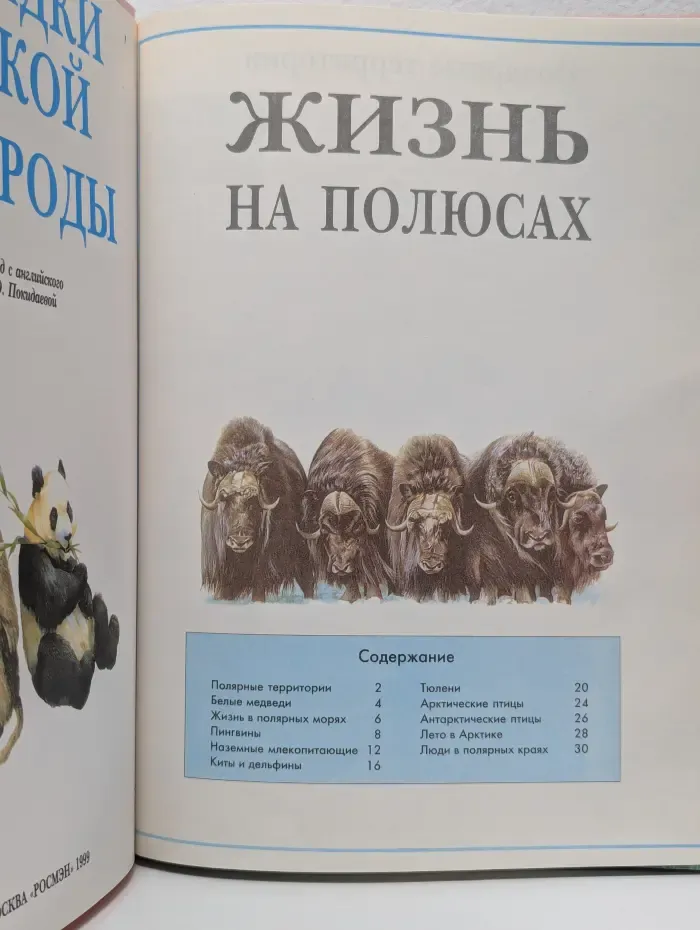 Загадки дикой природы