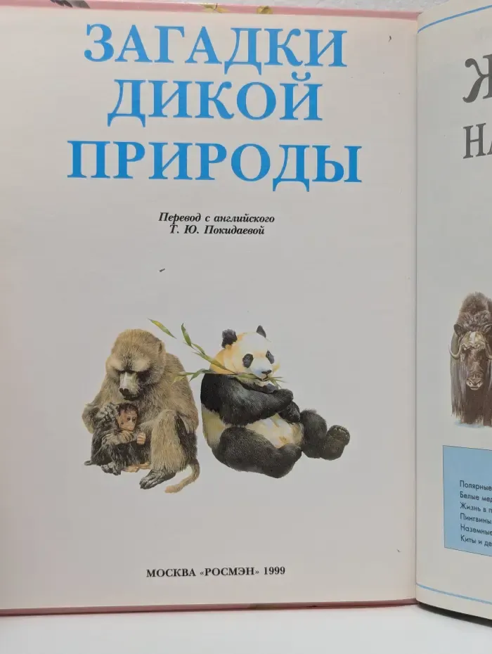 Загадки дикой природы
