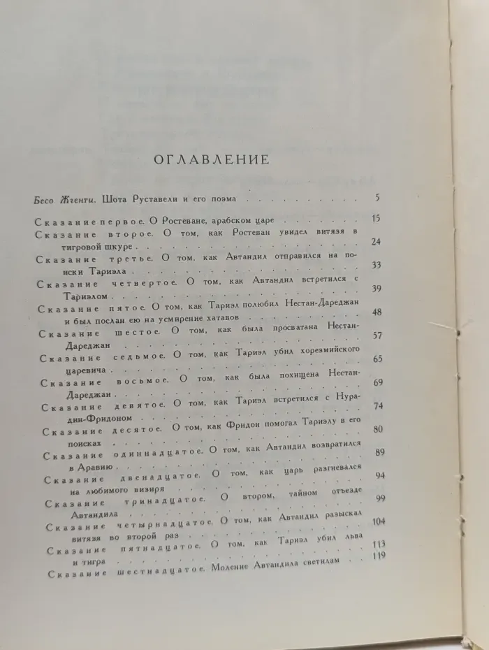 Школьная библиотека. Витязь в тигровой шкуре