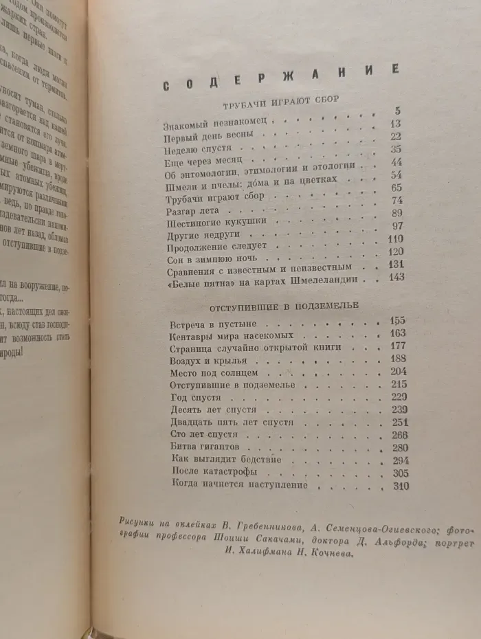 Шмели и термиты