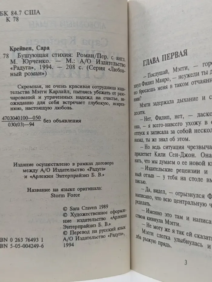 Любовный роман. Бушующая стихия