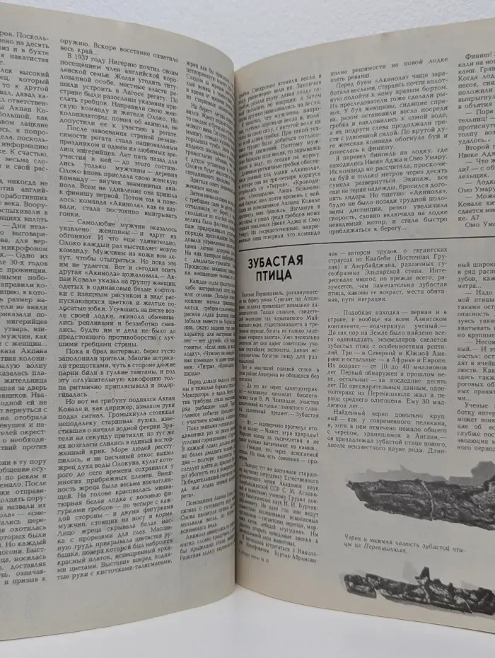 Вокруг света. Выпуск № 12 /1981