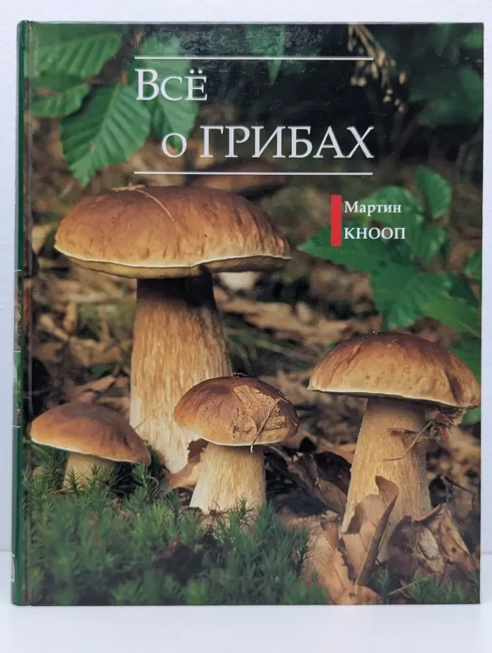 Всё о грибах