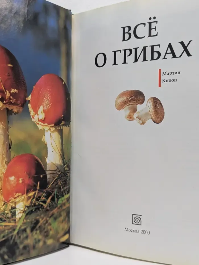 Всё о грибах