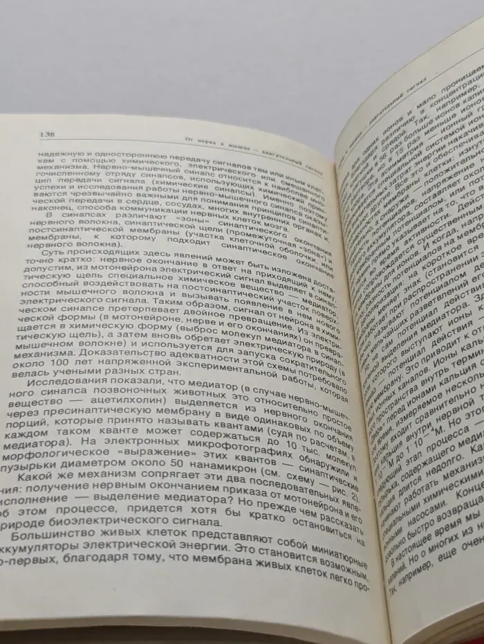 Будущее науки. Выпуск № 13/1990
